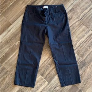 LOFT dress capris